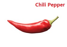 苹果的英文不是apple,苹果的英文发音是apple还是apple