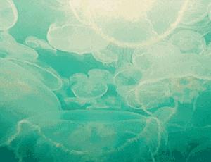 上帝创世用了几天,上帝创世的七天原文