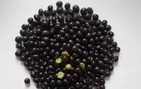 脸上长黄斑怎么检查,看脸上的斑如何知道什么病因