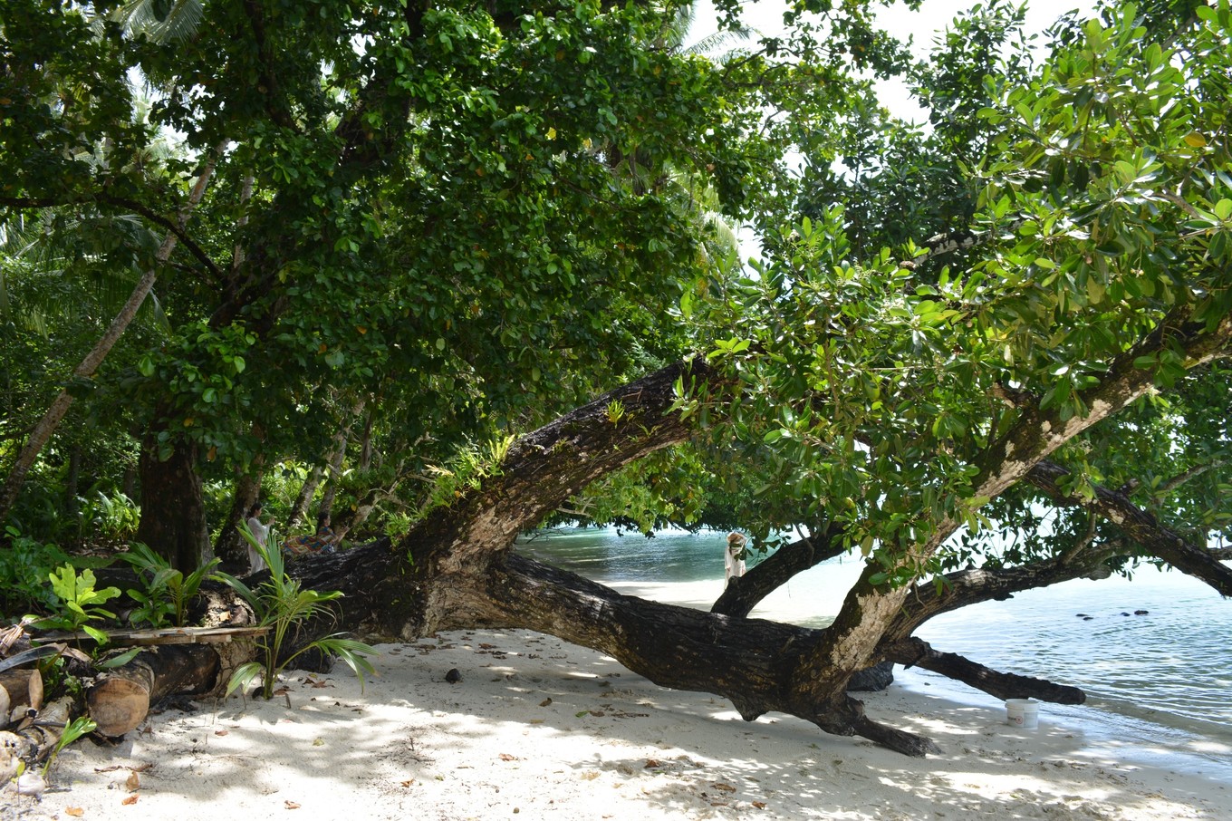帕劳旅行攻略大全图文,帕劳旅行攻略图文大全