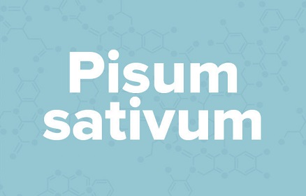 apple苹果的英语是什么,苹果的英语为什么是anapple