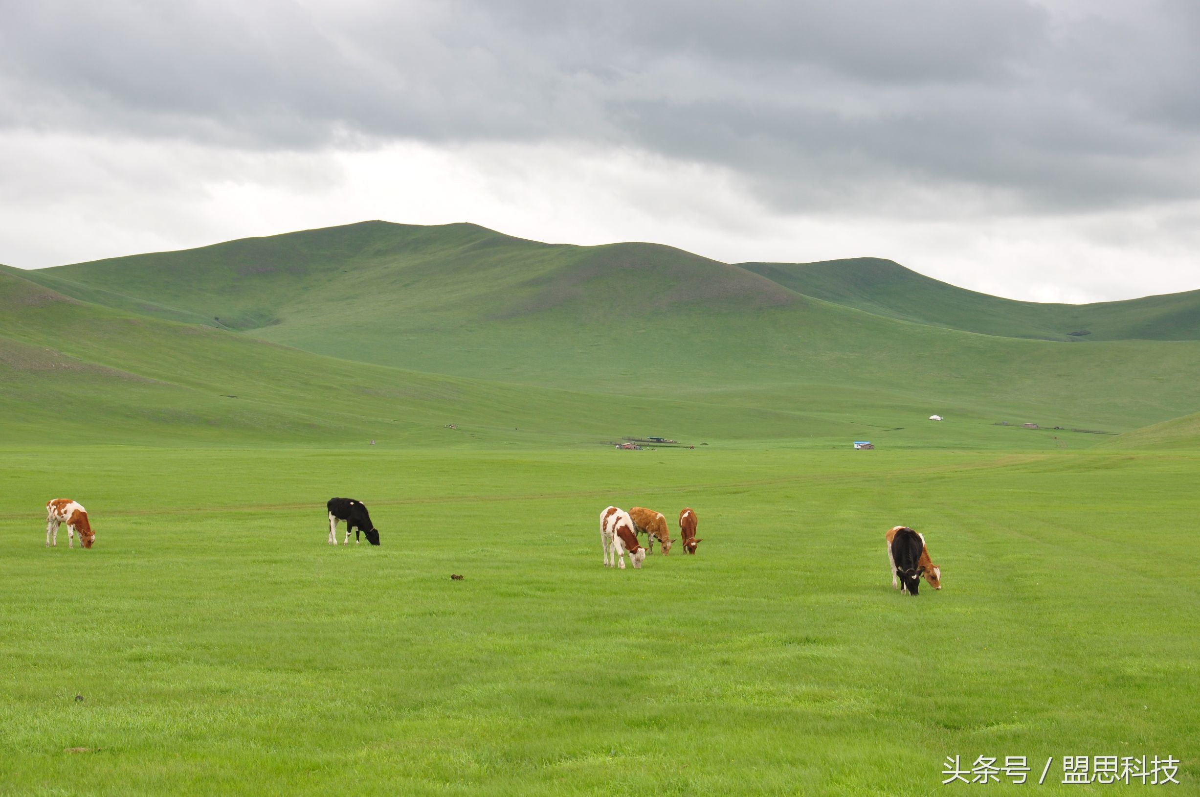 我的旅行记内蒙古,我的旅行日志完整版