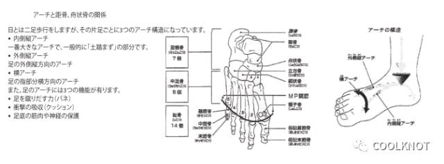 coolknot怎么样,coolknot绑鞋带教程