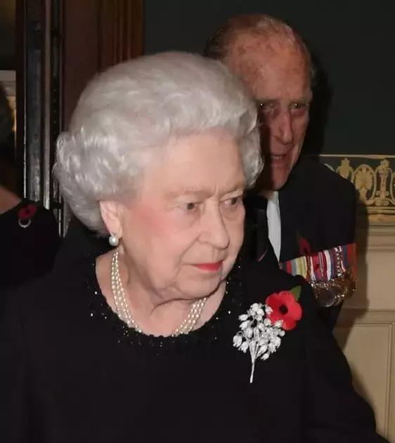 耳朵腮红画法,耳朵多种画法