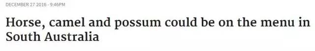 土澳的餐桌上不止有袋鼠肉了,负鼠,骆驼,驴子马肉统统上线了!