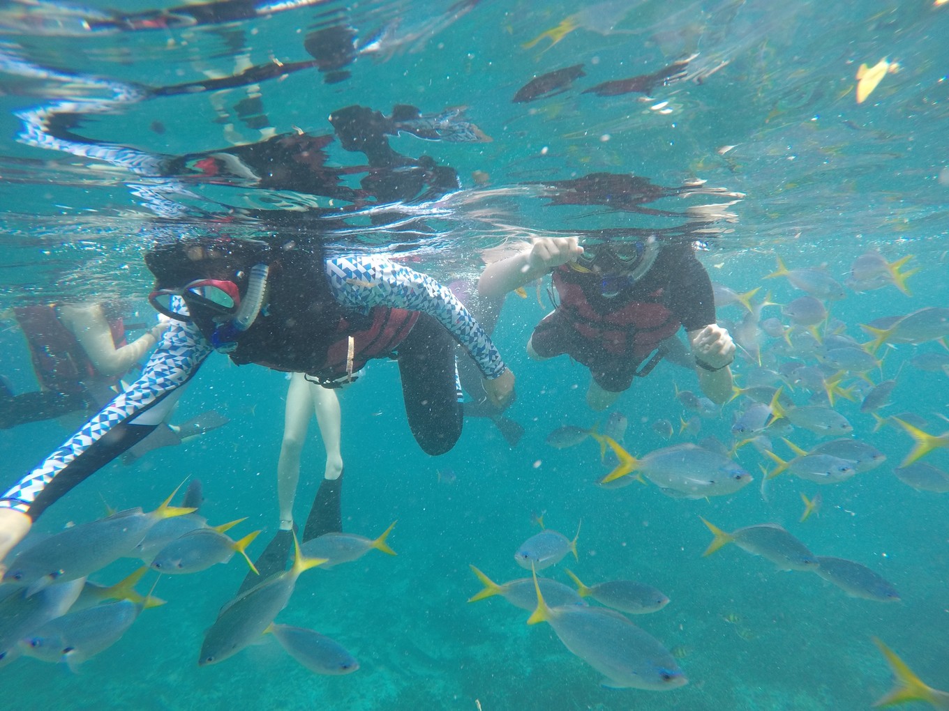 帕劳旅行攻略大全图文,帕劳旅行攻略图文大全