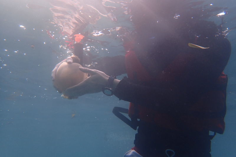 帕劳旅行攻略大全图文,帕劳旅行攻略图文大全