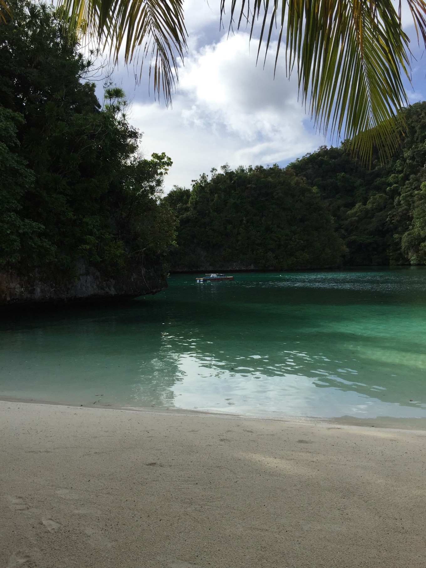 帕劳旅行攻略大全图文,帕劳旅行攻略图文大全