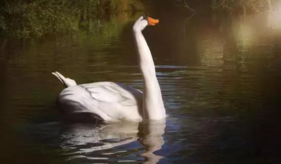 这些赤裸裸的人究竟是为何这样呢?这肤色,这花纹