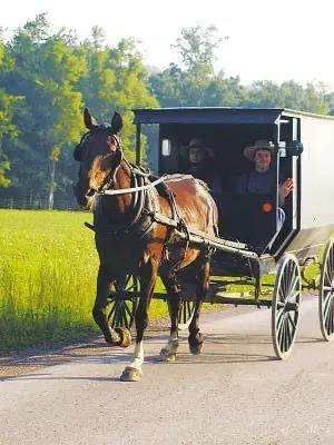 大家以前是不是都拍过这样的照片,每个人都见过的照片