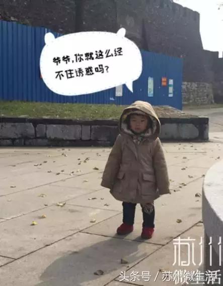 苏州的好看的东西,苏州vs纽约