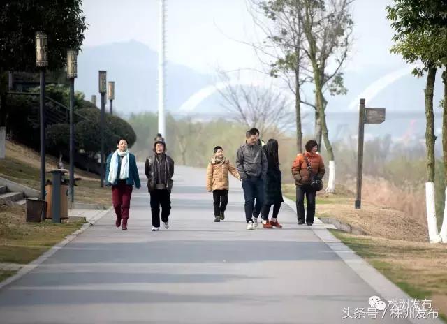 2019株洲改造工程,株洲路改造最新消息