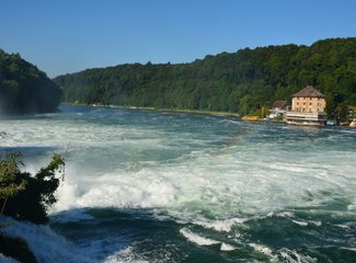 鲜花在脚下，雪山在前方——小淘淘2016年暑假瑞士徒步记