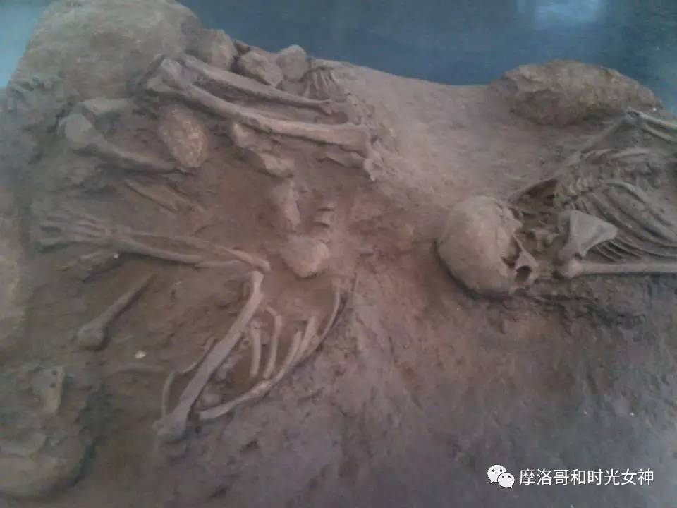 中国游客真的不爱逛博物馆吗?丨摩洛哥艺术时光漫步