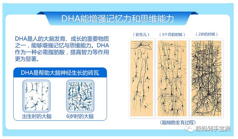要不要给孩子补DHA？吃了DHA真的会越来越聪明？要怎么正确给孩子补DHA?