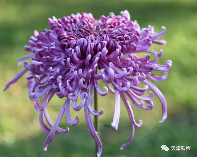 鍜岃皭鑷劧鎽勫奖浣滃搧,鍜岃皭鑷劧鎽勫奖浣滃搧娆h祻