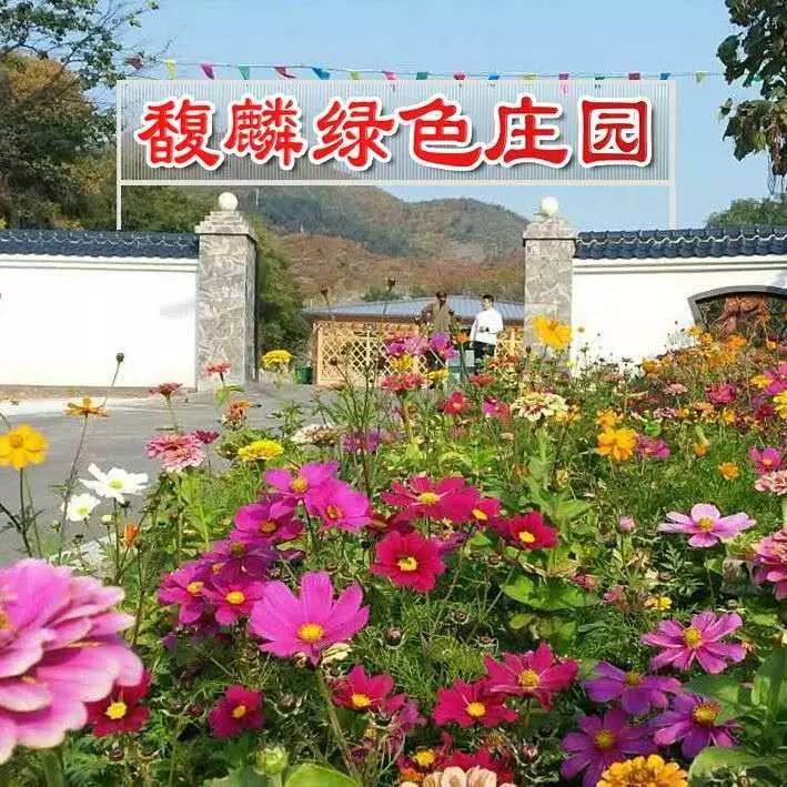 弓长岭农家院温泉攻略,弓长岭美景农家乐