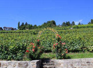 记忆里的那一抹蓝作文,记忆中的那一抹蓝色