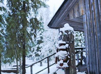 北欧挪威之旅合集,冬季北欧四国游
