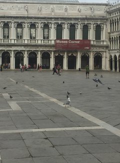 意大利威尼斯，佛罗仑萨浮生若梦