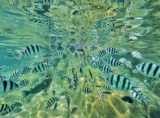 5月去泰国涛岛,几月去泰国旅游苏梅岛