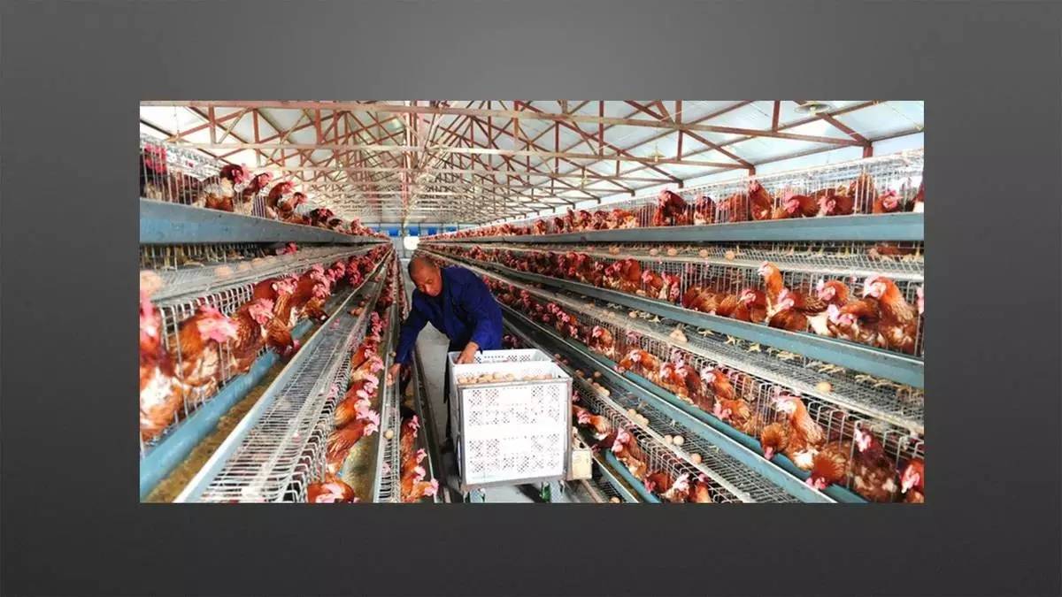 设计师必须改变思维方式,才能获得新的认知|来自一位室内设计行业连续创新者的分享「设易学院干货064期」