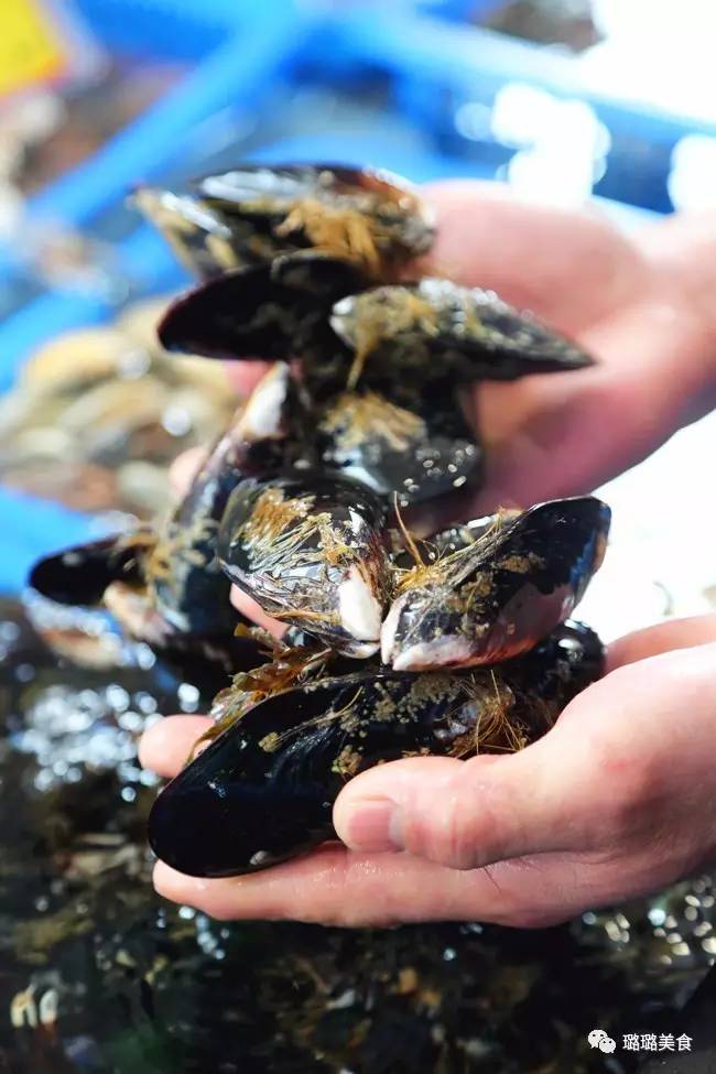 澳加新英美的稀奇海鲜都能在常州这家店吃到！而且元旦连送3天日本松叶蟹！