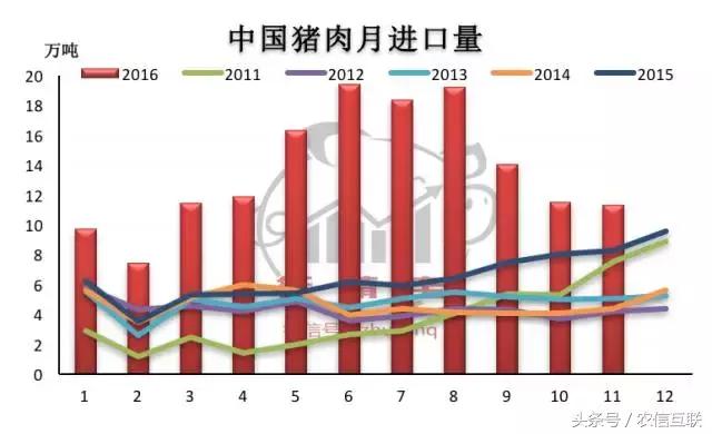今年养猪预测,现在猪价下跌养猪还来得及吗