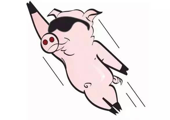 力哥说理财界最大的骗局,力哥说理财简介