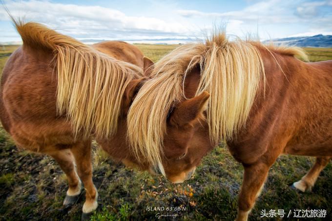 冰岛的两点自然奇景,真实的冰岛全景