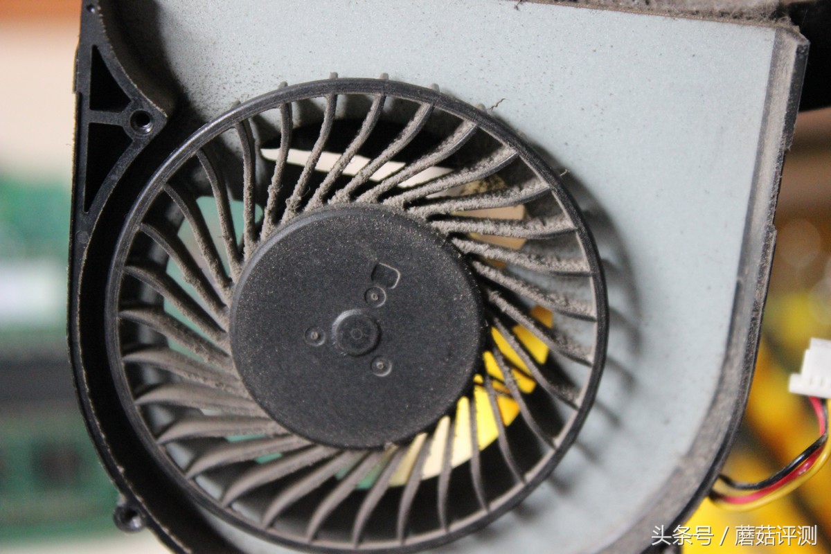 戴尔inspiron3421加装固态,戴尔笔记本inspiron143476拆机