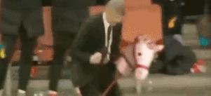 足球特效名场面,足球特效拍同款