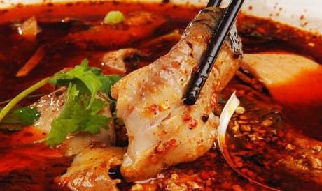 火锅鱼配什么煮,冷锅鱼和火锅鱼的区别在哪里