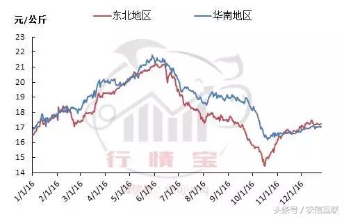 2019下半年猪价还能涨到多少,2019年猪价走势如何