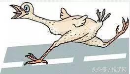 国际大牌们!求你们放过我们的鸡——吧!