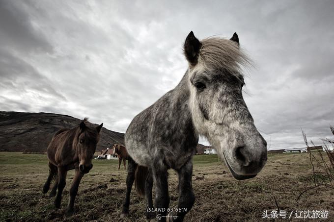 冰岛的两点自然奇景,真实的冰岛全景