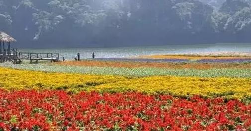 广东也能看到“九寨沟”这样的美景，还不止一个呢！