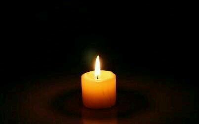 选择汪星人只看价格?真实经历告诉你为何不要贪便宜