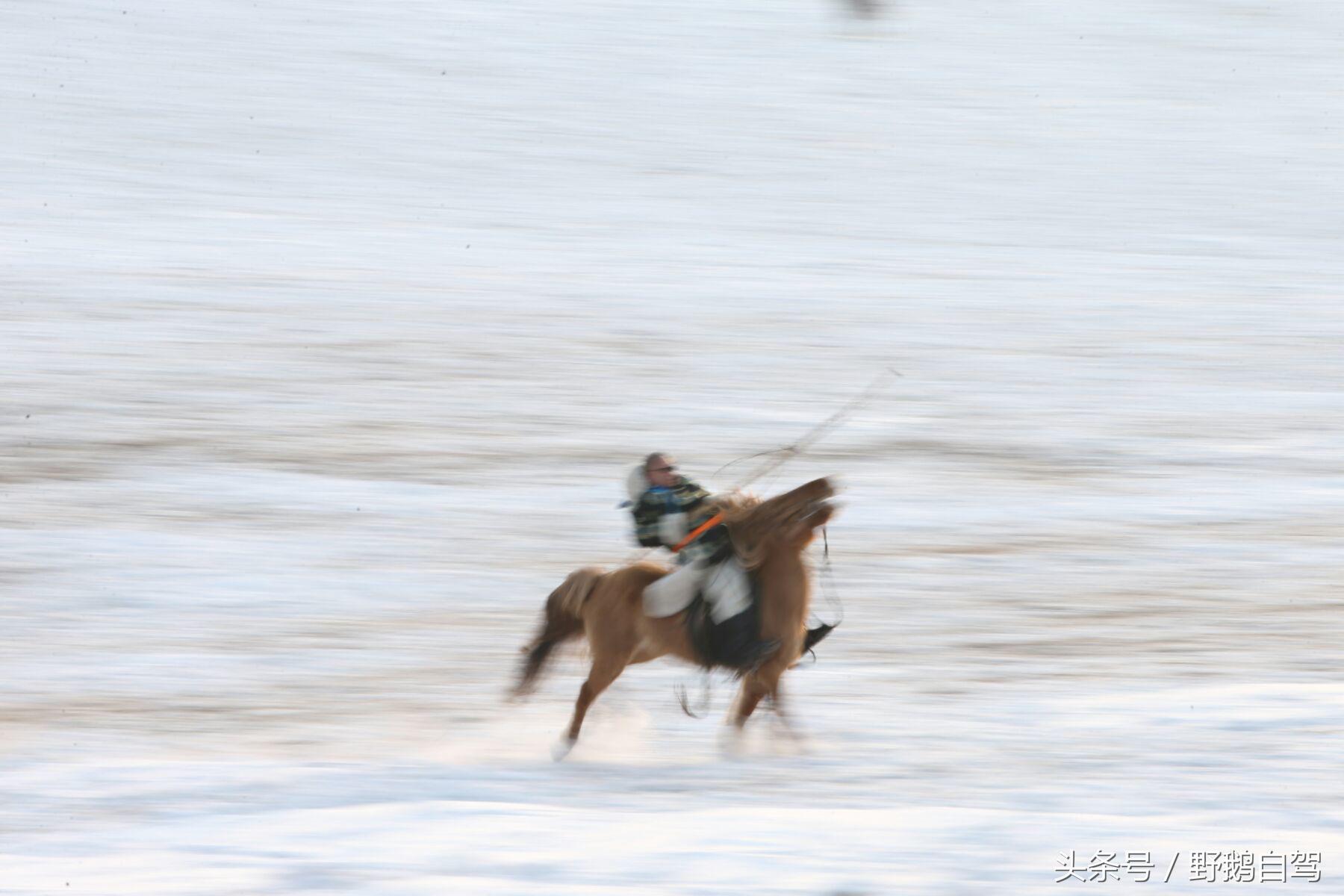 锡林郭勒盟那达慕自驾攻略,锡林郭勒冰雪那达慕完整版