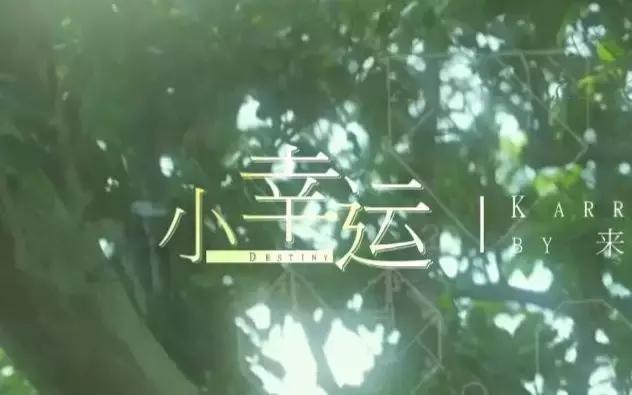 哪首歌曲陪伴你,一生陪伴你的歌名叫什么