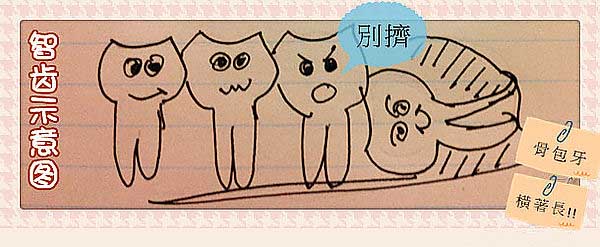 爱“惹事生非的”智齿