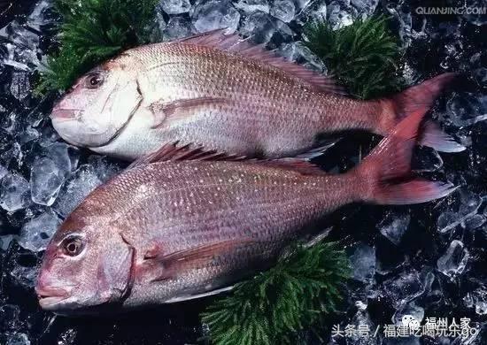 福建十大公认最好吃的菜,福建海鲜美食排行榜前十名