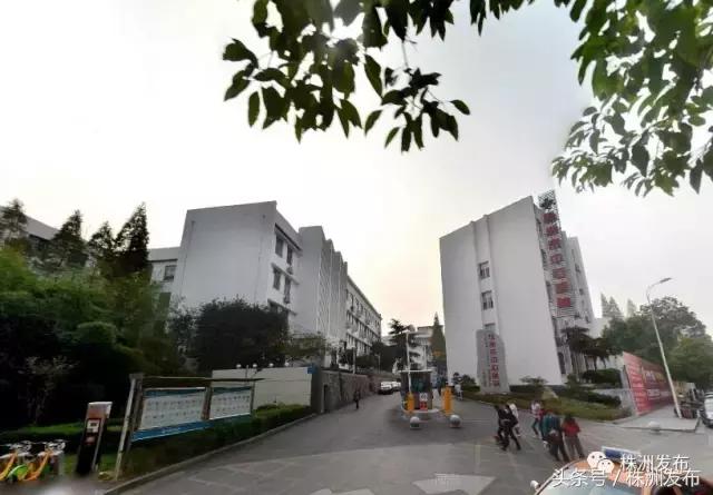 2019株洲改造工程,株洲路改造最新消息