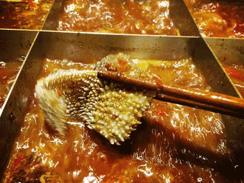 适合冬天吃的火锅店,雾霾天气适合吃火锅吗