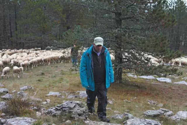 在这部电影面前，所有的重口味都成了小清新