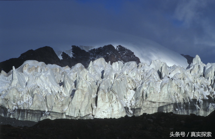 荒野求生秘籍完整版,荒野自救教程