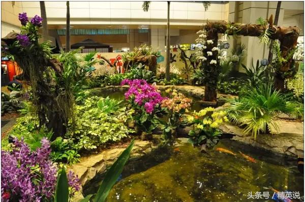 广州机场免税店购物哪个最划算,中国机场免税店值得购买