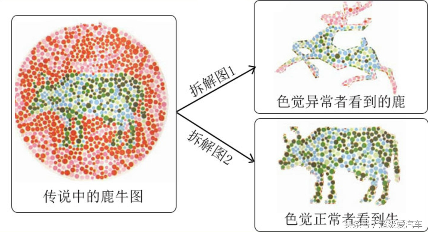 色盲通不过驾照体检怎么办,色盲驾驶证体检不过怎么办