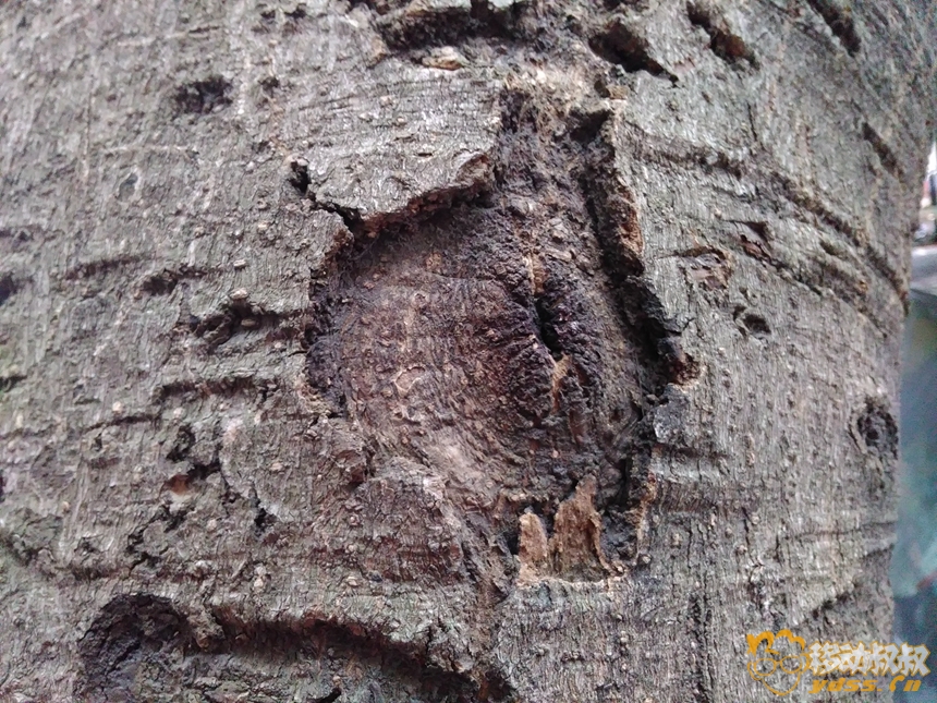 tcl乐玩评测,tcl乐玩2c续航怎么样