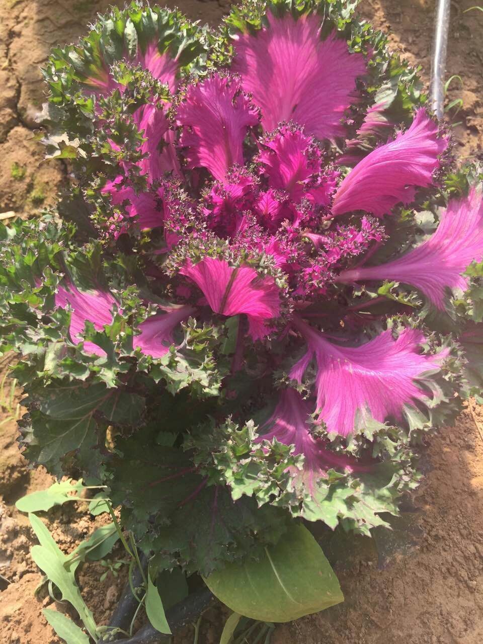 走吗约起之——外滩风尚西餐咖啡。各位您约了吗？我在太原尖草坪